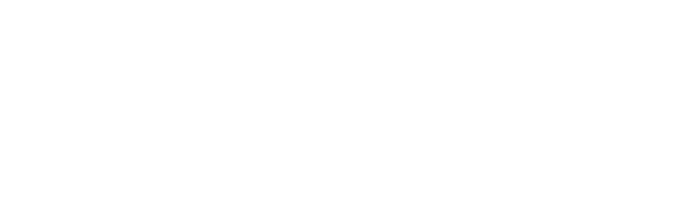 SEIN